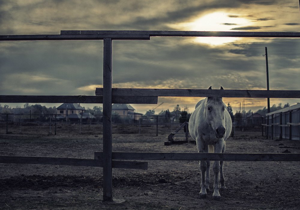 Photograph by Синегубова Ольга