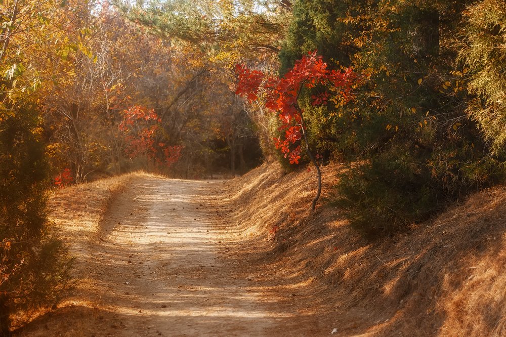 Photograph by Чунина Наталья