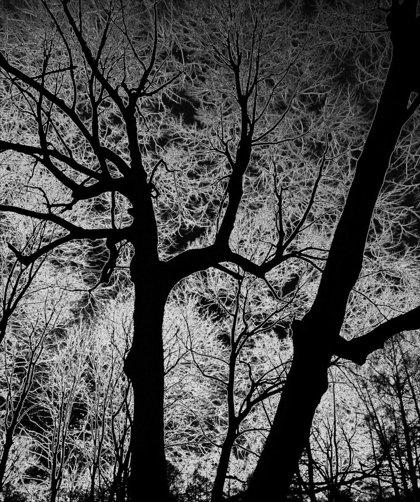 Вечерняя сказка...!!!