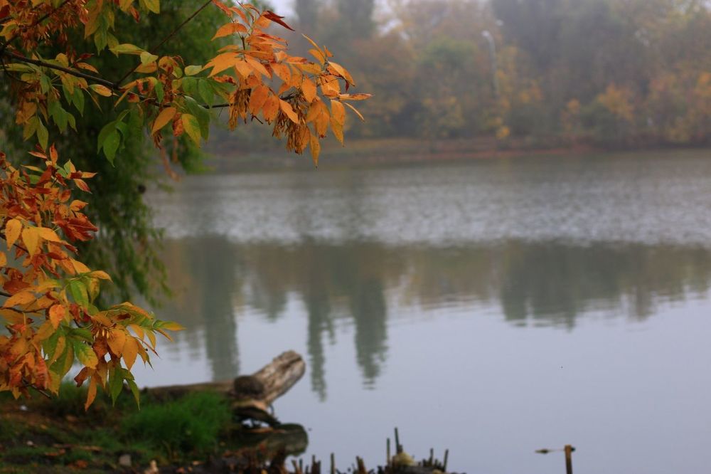 Photograph by Антонина Кузнецова