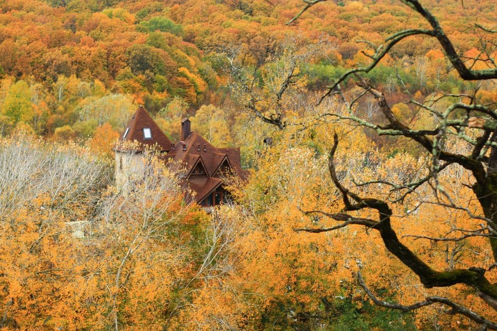 Photograph by Антонина Кузнецова