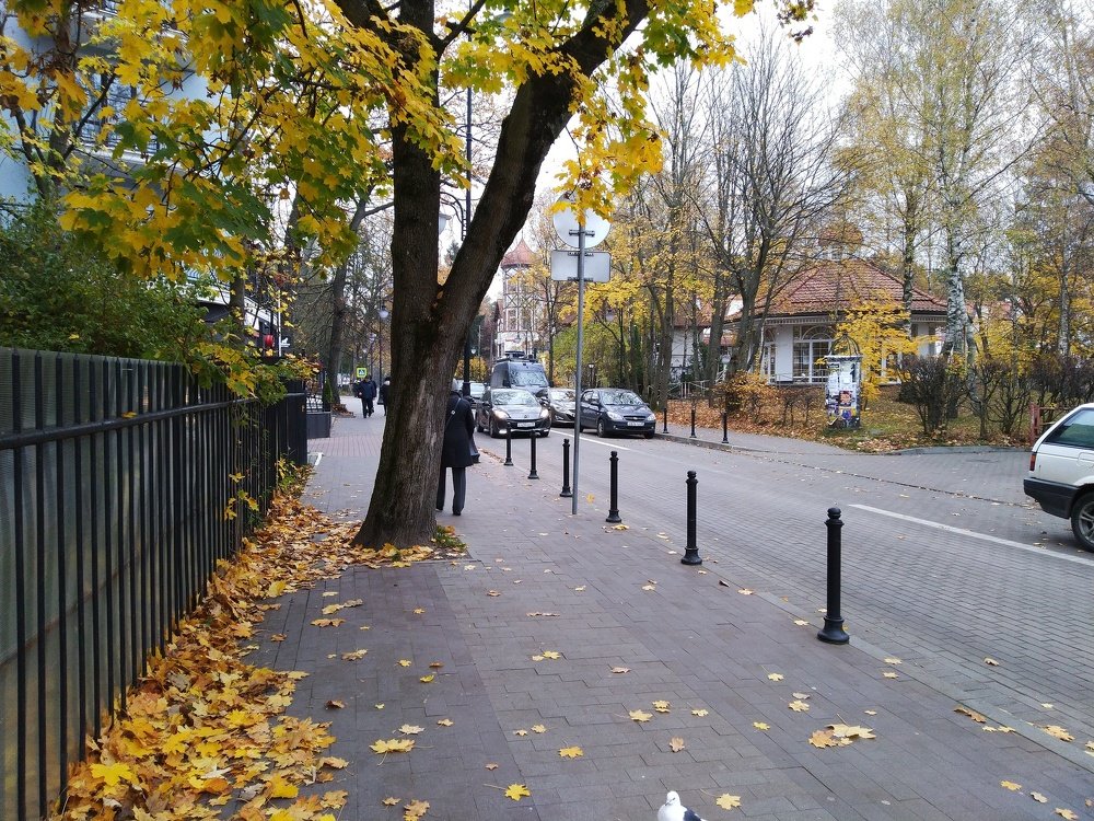 Photograph by Ирина Кулагина