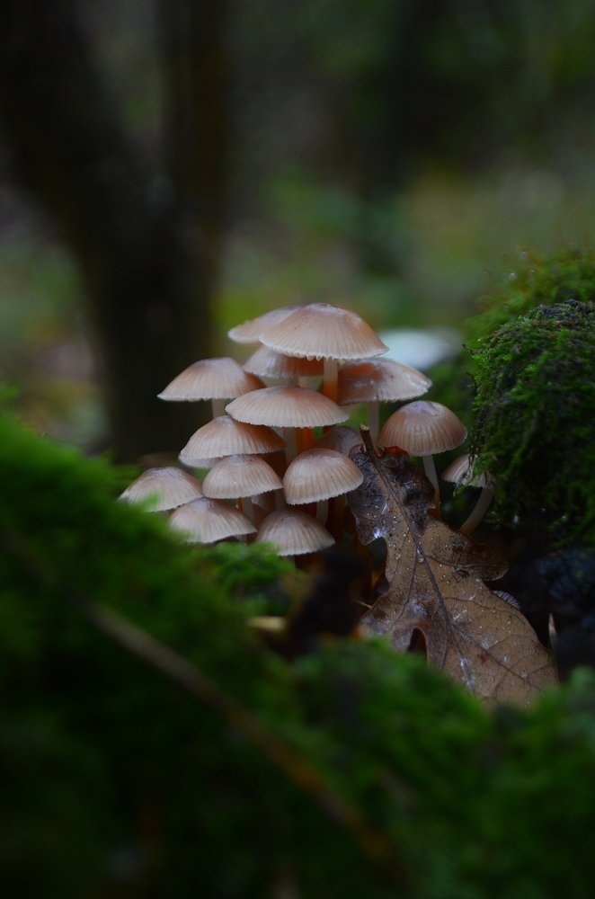Фотография автора Евгения Илина