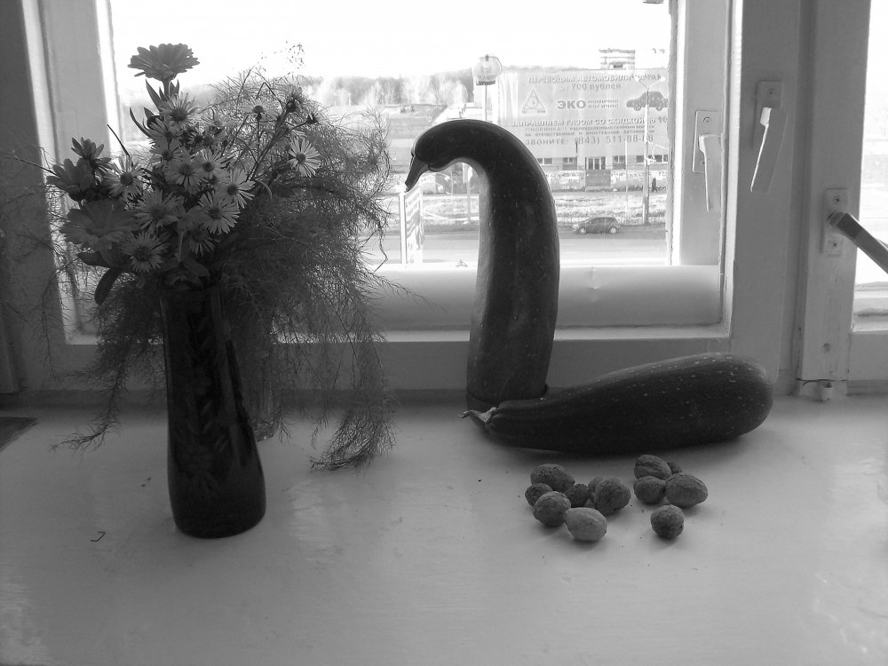 Фотография автора Клавдия Васильева