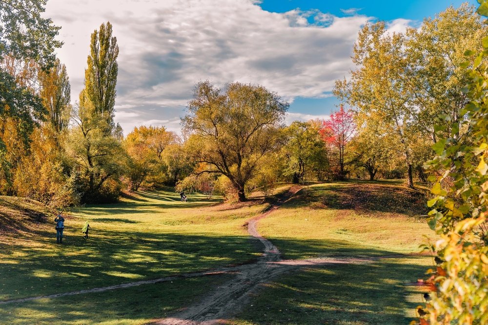 Photograph by Ирина Комолова