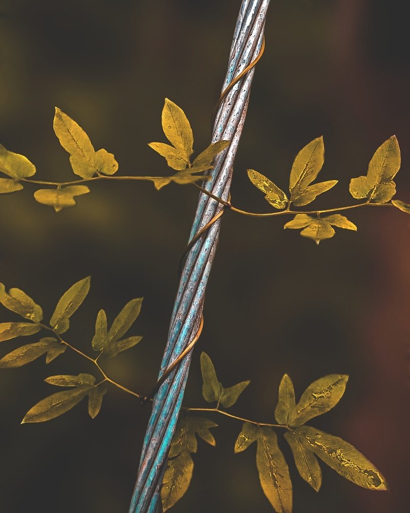 Photograph by Виталий Свяжин