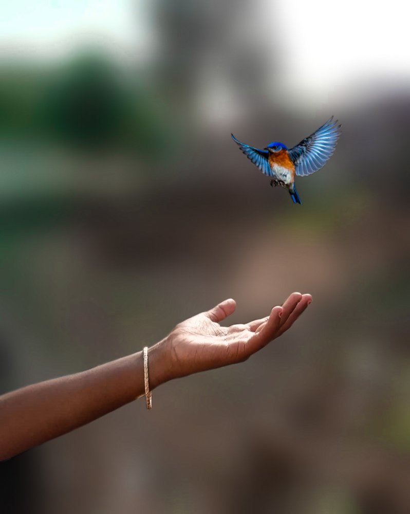 Photograph by Виталий Свяжин