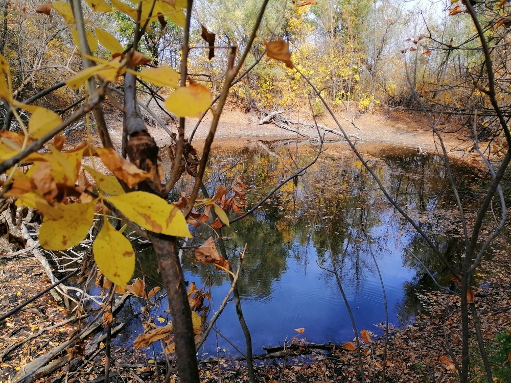 Photograph by Юлия Измерова