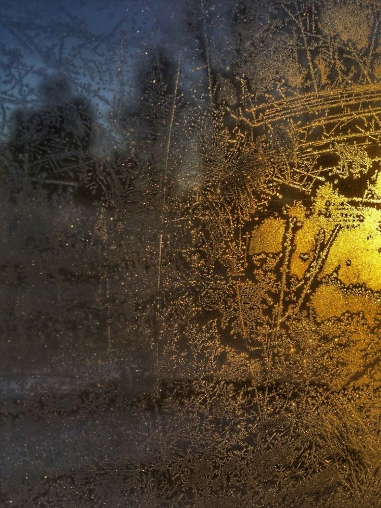 Фотография автора Ирина Курмалеева