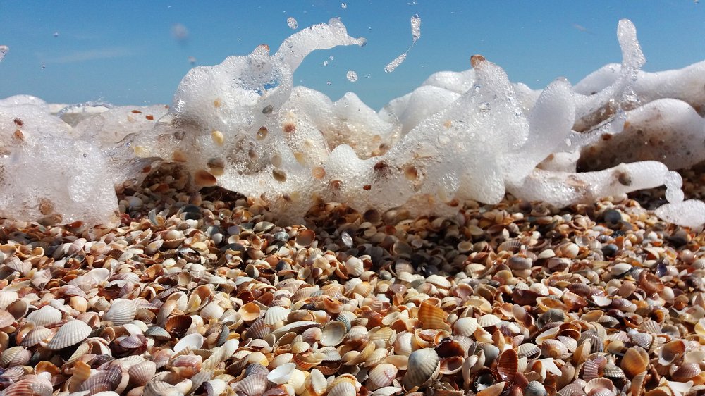 Photograph by Maryna Sydorova