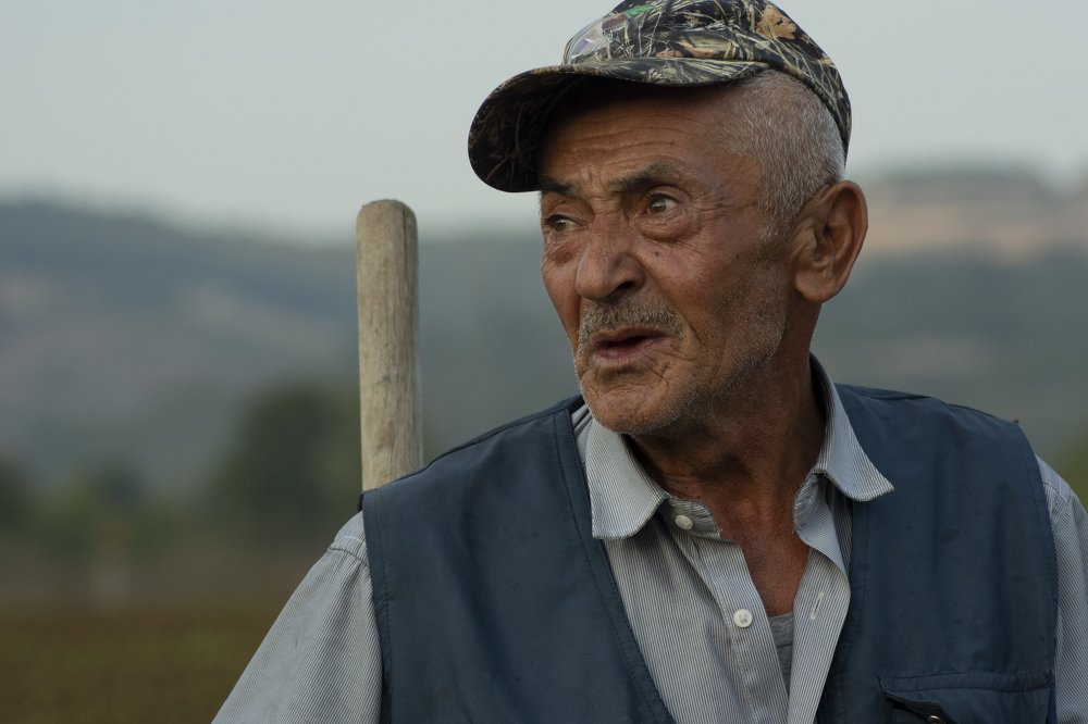 Photograph by Dogan Ozezgi