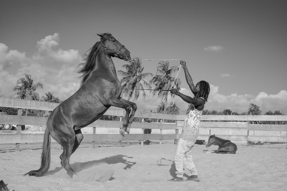 Photograph by K. Kouassi Germain