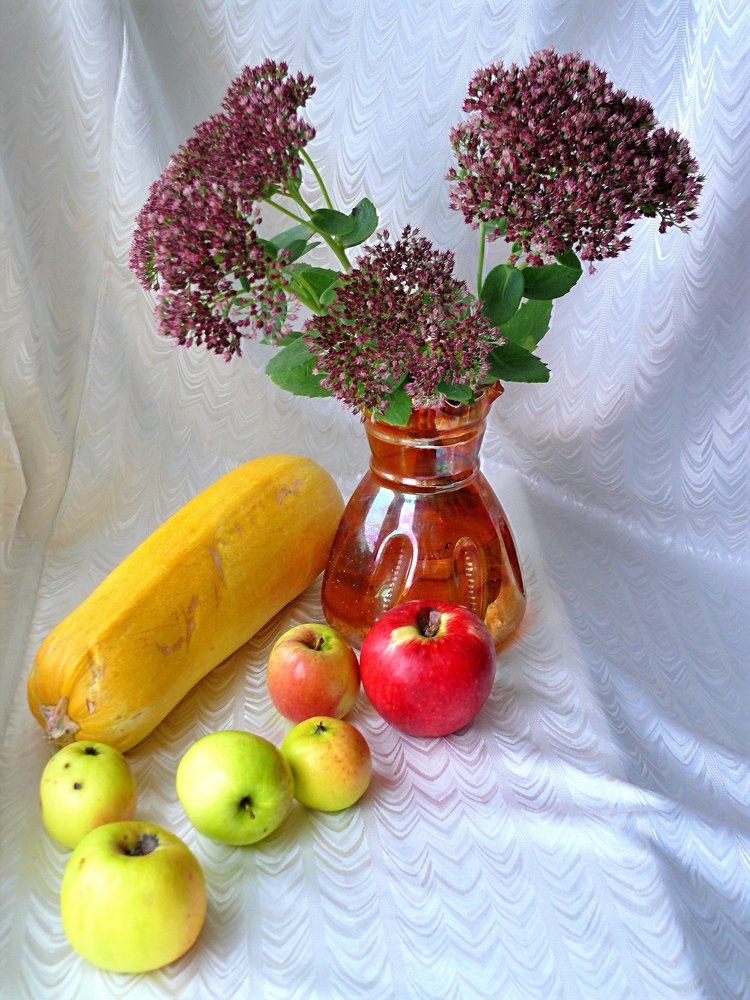 Фотография автора Клавдия Васильева