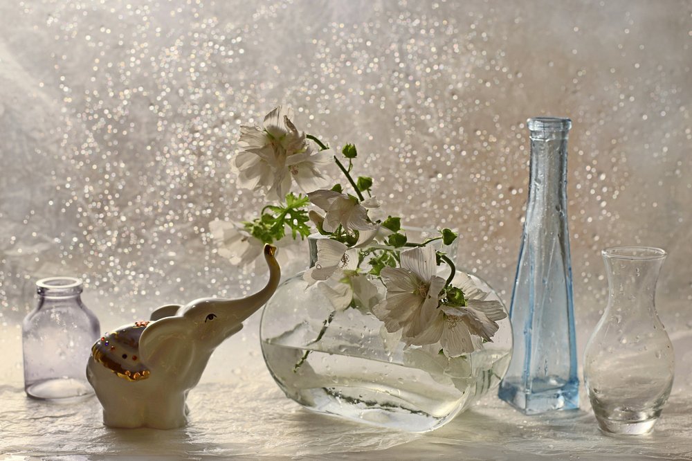 Слоник и летний дождь.