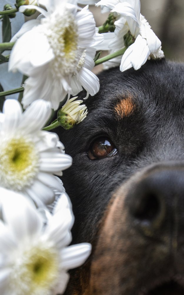 Photograph by Alina Stepanova