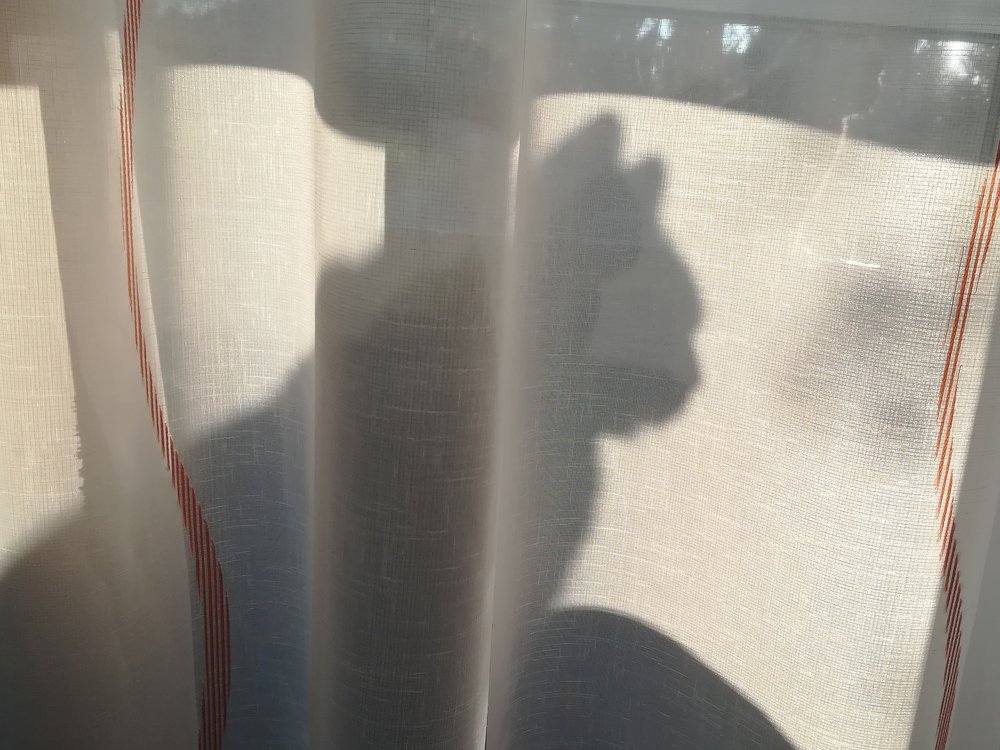 Фотография автора Denes Doma