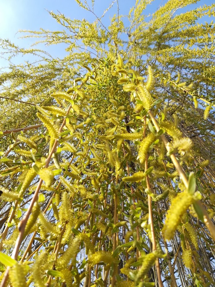 Фотография автора Denes Doma