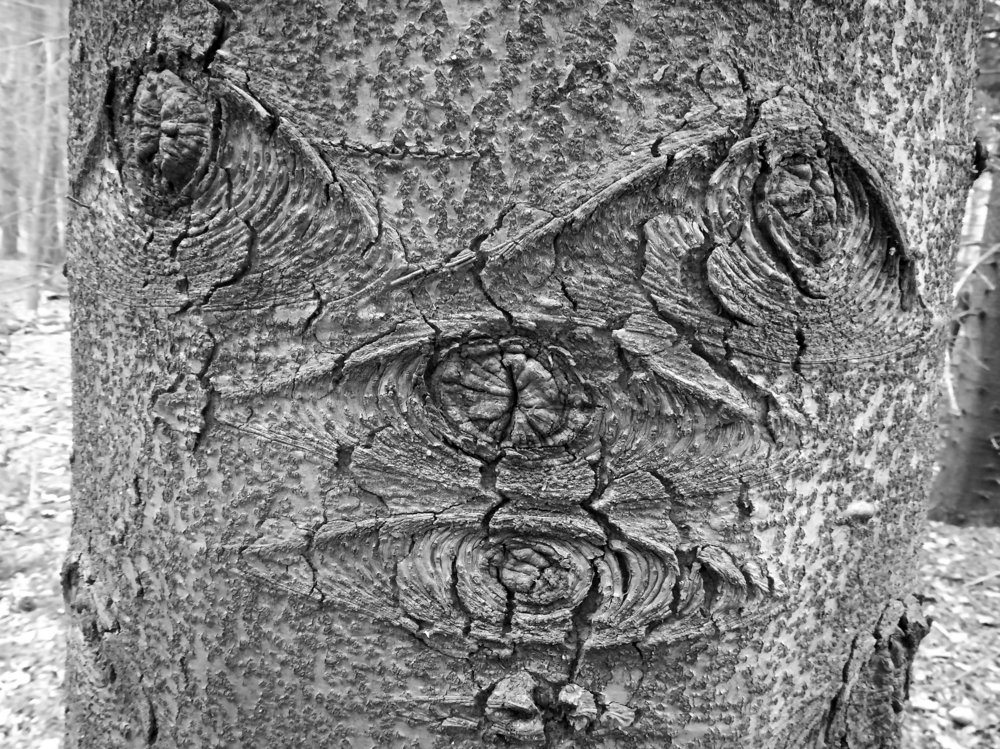 Фотография автора Denes Doma