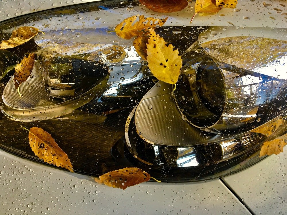 Photograph by Елена Ким