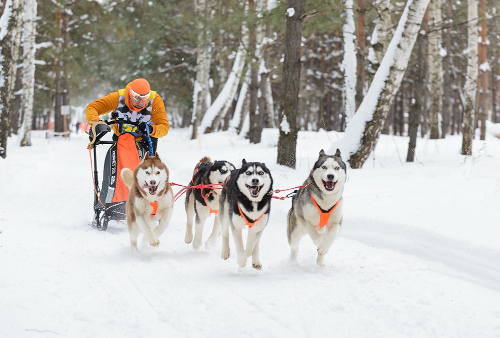 Photograph by Владислав Никишин