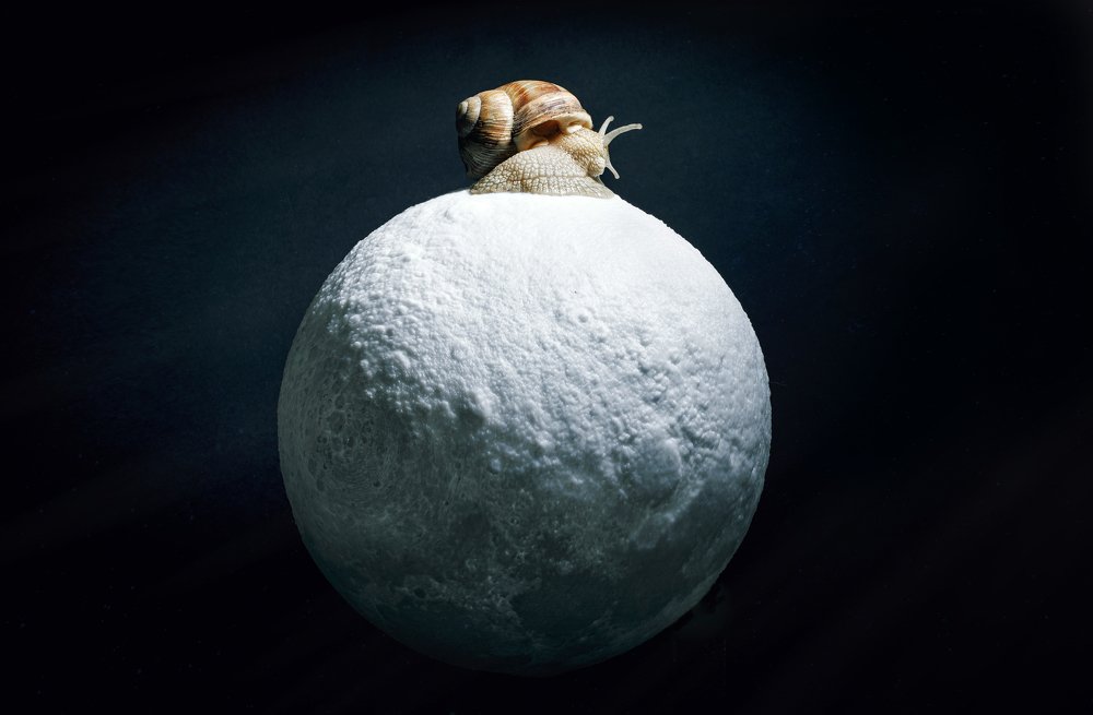 Photograph by Евгений Погоня