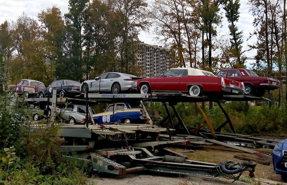 Photograph by Александр Шумаков