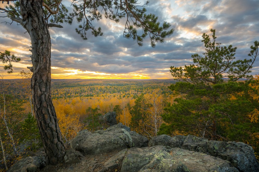 Photograph by Жданов Дмитрий