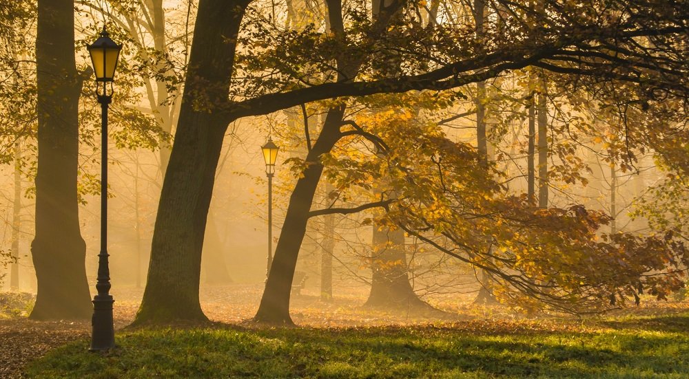 In the morning mists