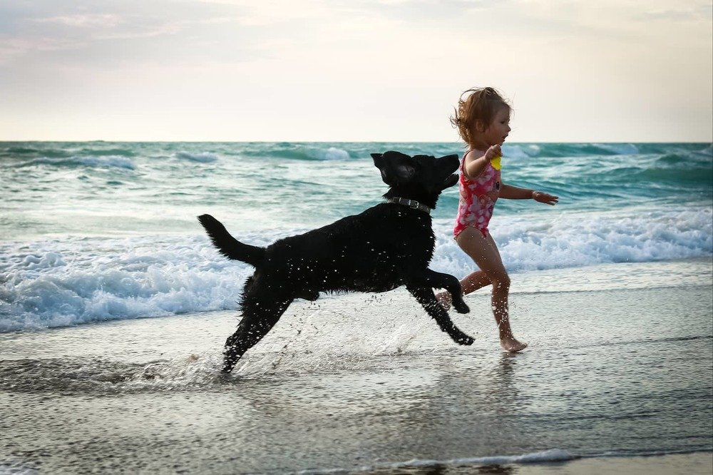 Photograph by Инна Федорова