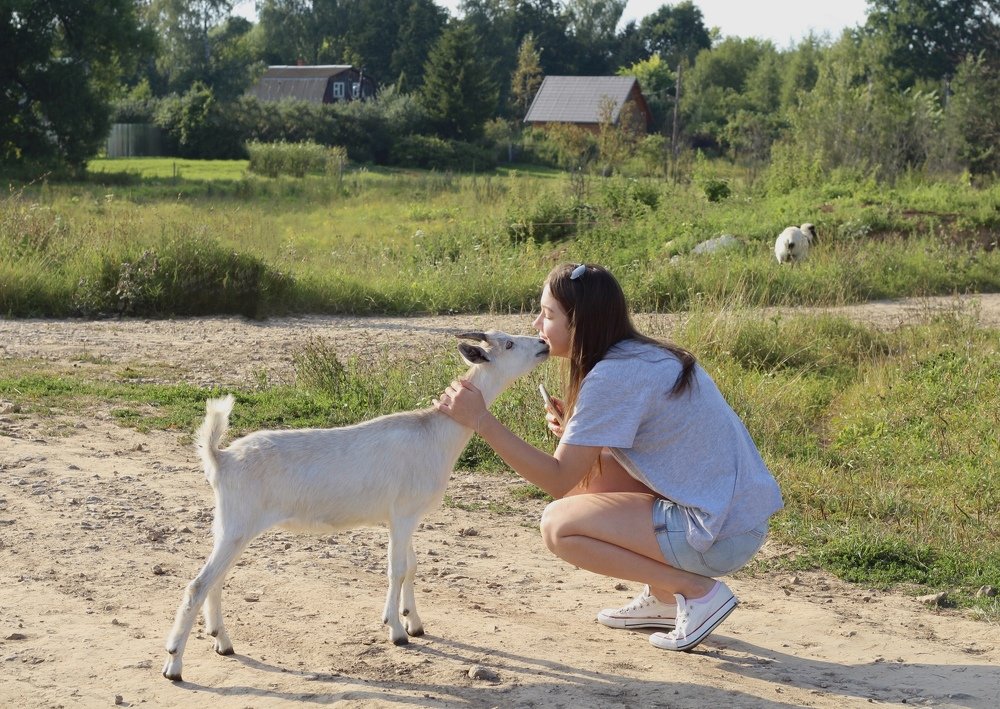 Ласка