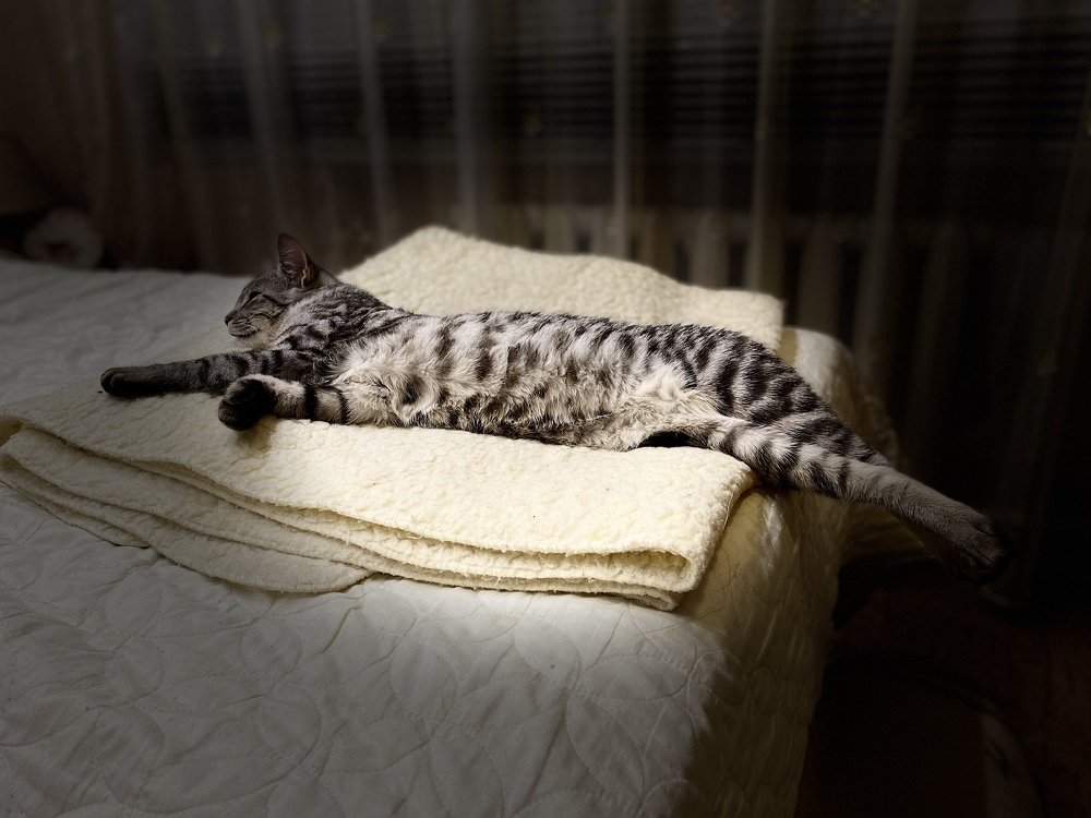 Photograph by Сергей Челахов