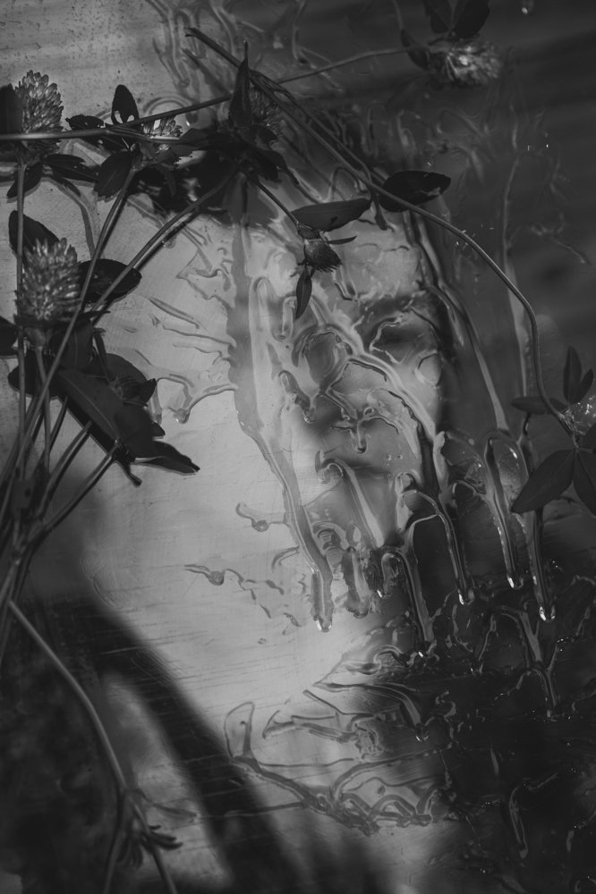 Photograph by Цывкунова Полина