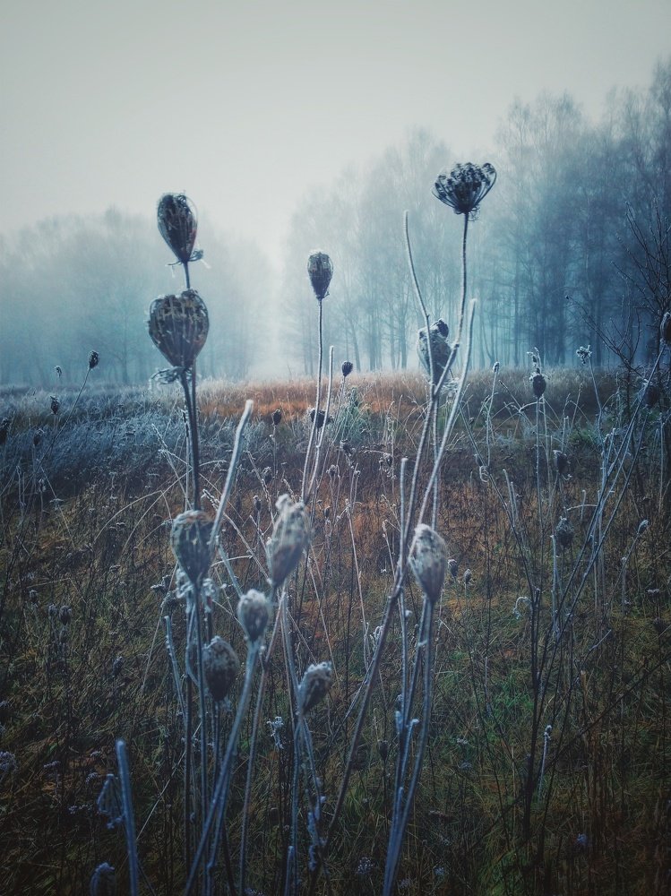 Волшебство