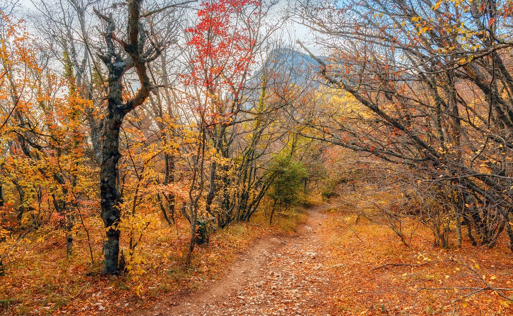 Photograph by Mihail