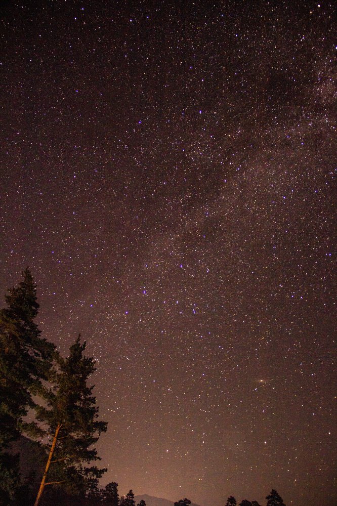 Photograph by Alena Poklonskaia