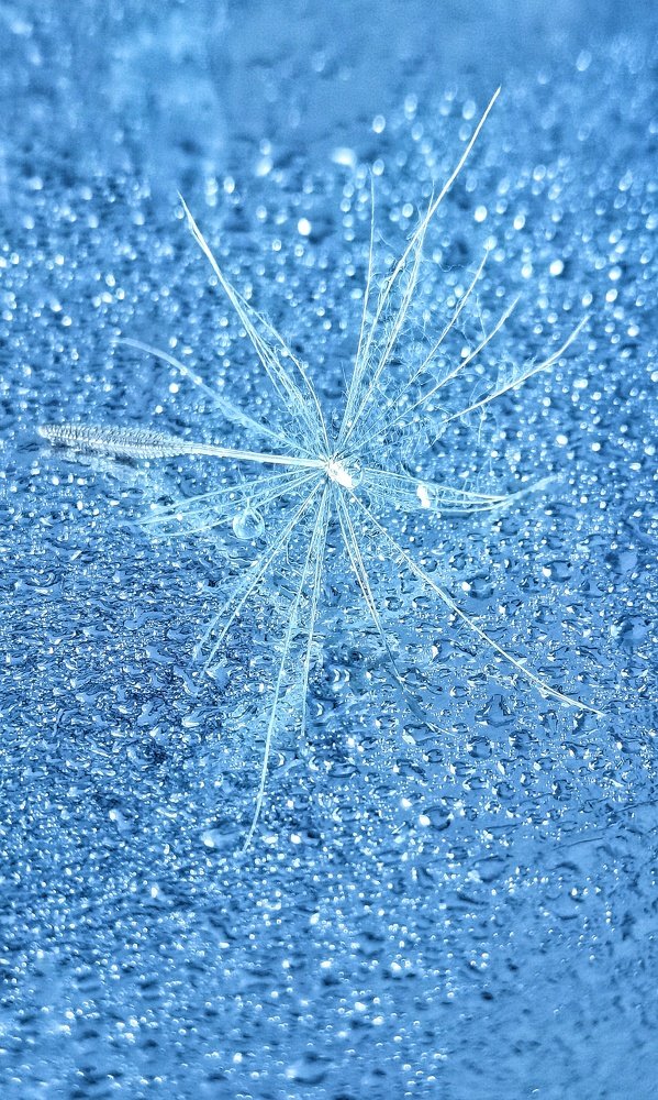 Цвет настроения синий