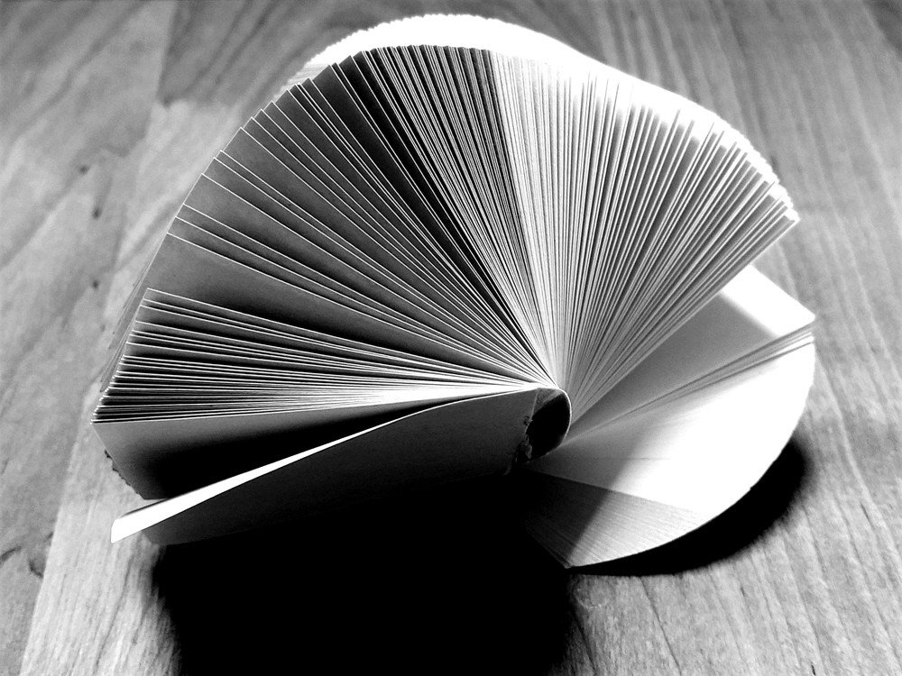 Photograph by Karina Yakovleva