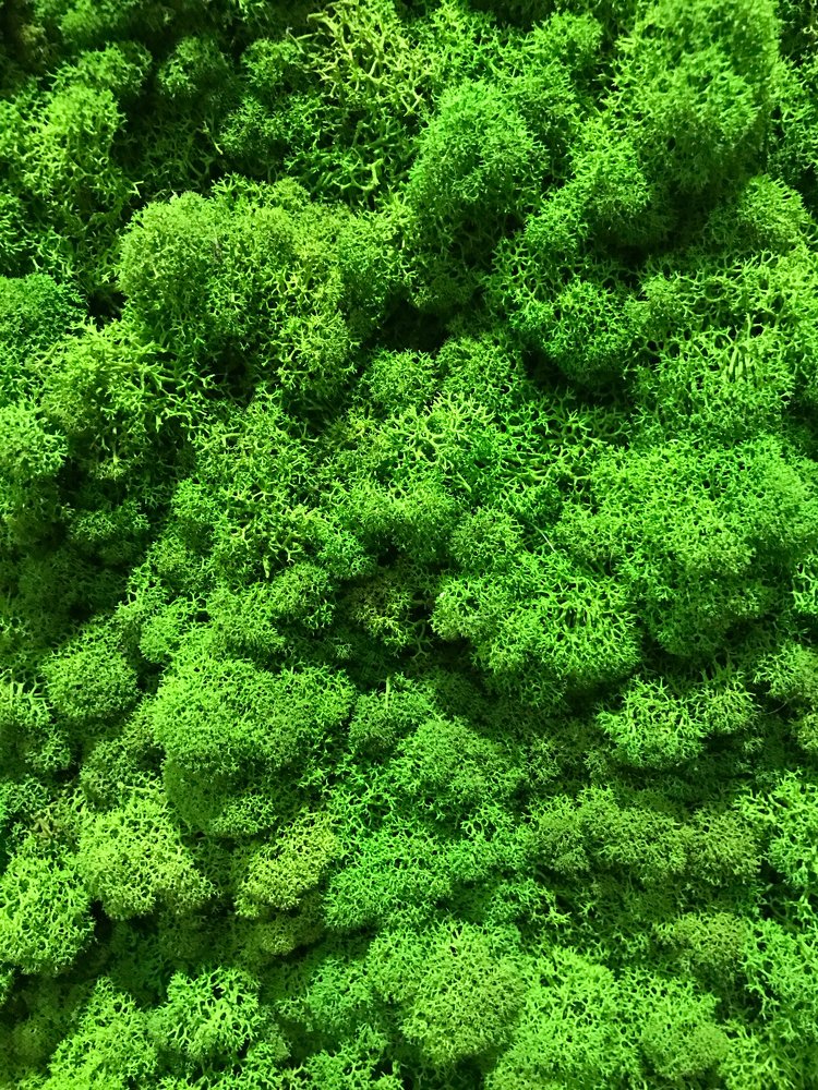 Photograph by Агарков Алексей