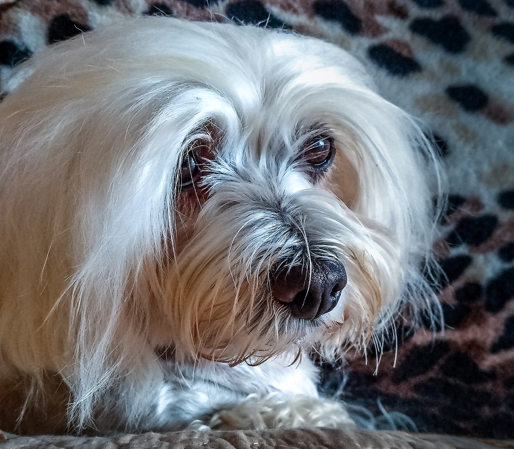 Photograph by юрий ященко