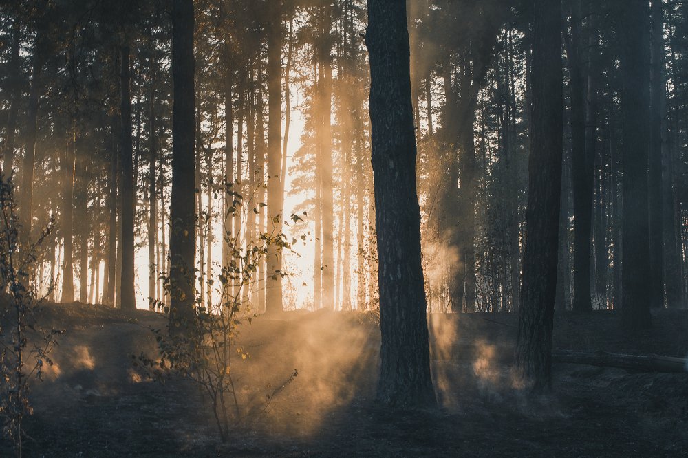 Photograph by Konstantin Zhuykov