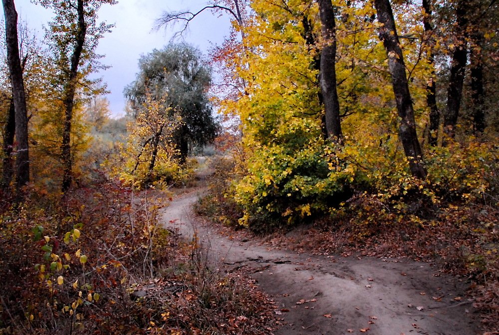 Фотография автора Анатолий Мироненко