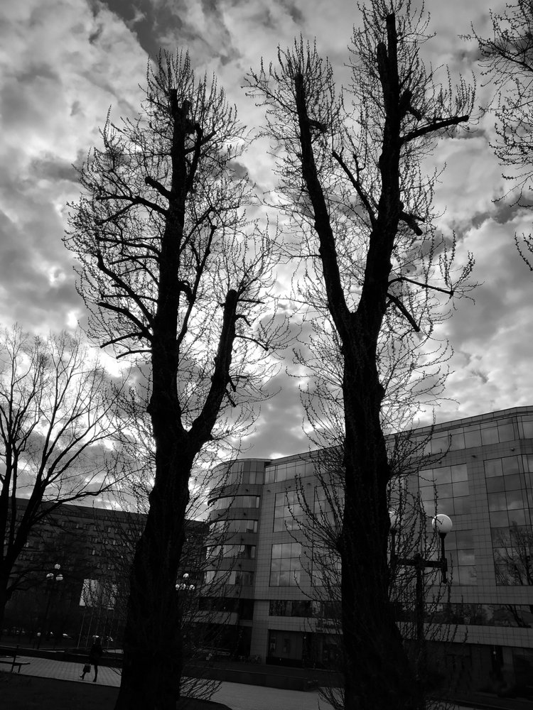 В преддверии весны