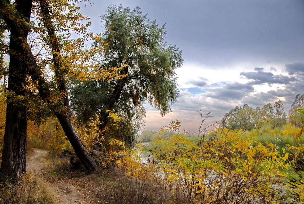 Фотография автора Анатолий Мироненко