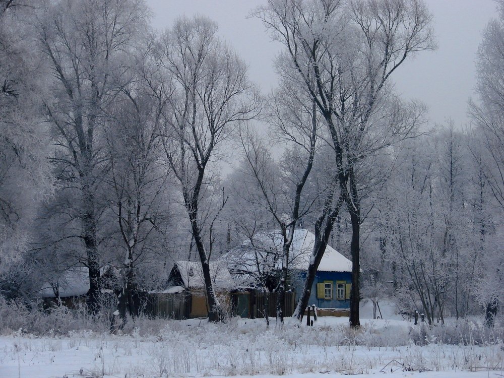 Photo #5220108