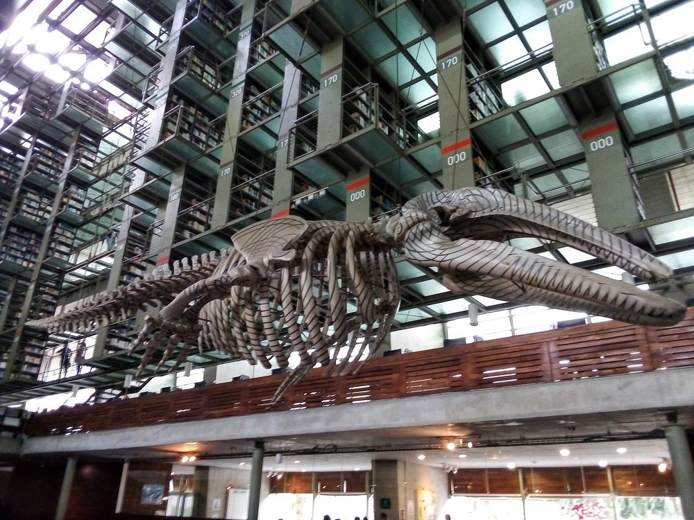 Photograph by José Luis Mendoza Machado