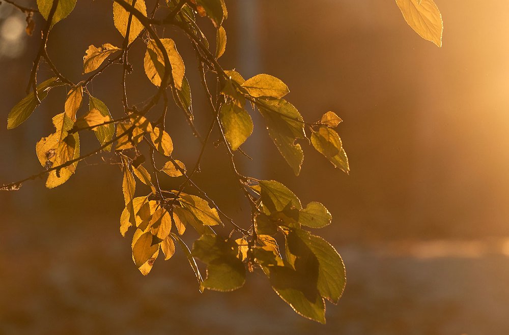 Photograph by Екатерина Ким