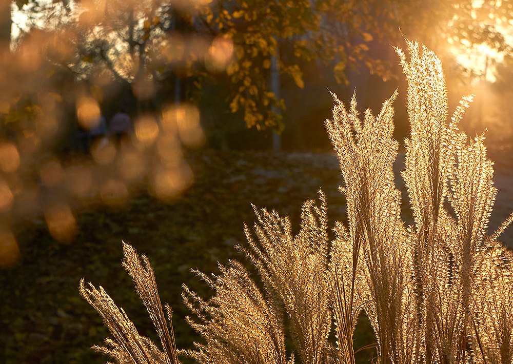 Photograph by Екатерина Ким