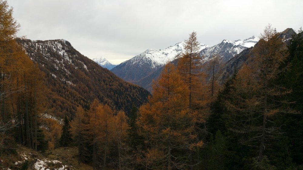 Photograph by Max Ischenko