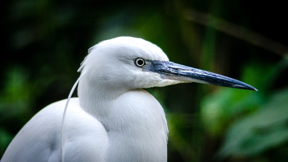 Фотография автора Владимир Брызгунов