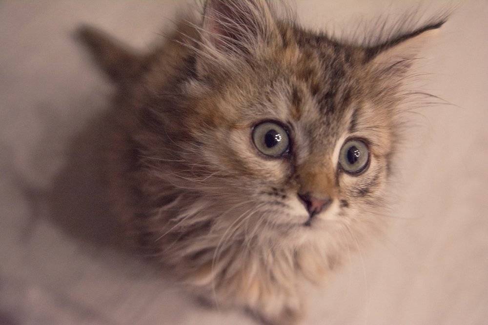 Photograph by Юлия Рыжавина